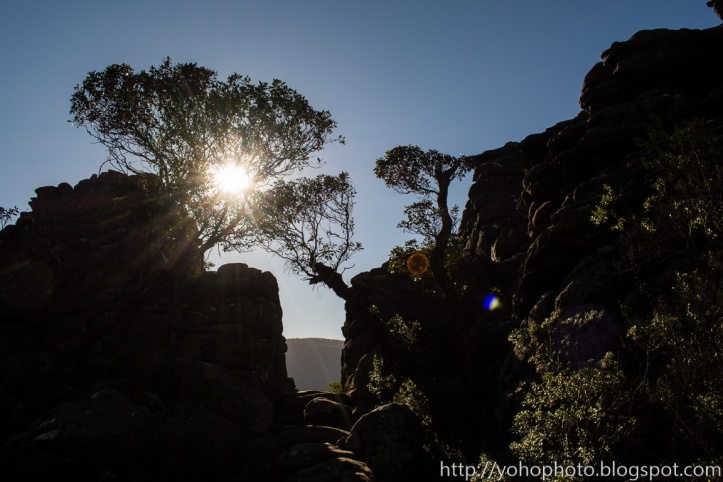 Surrounded by rocks and vegetation in Grampians